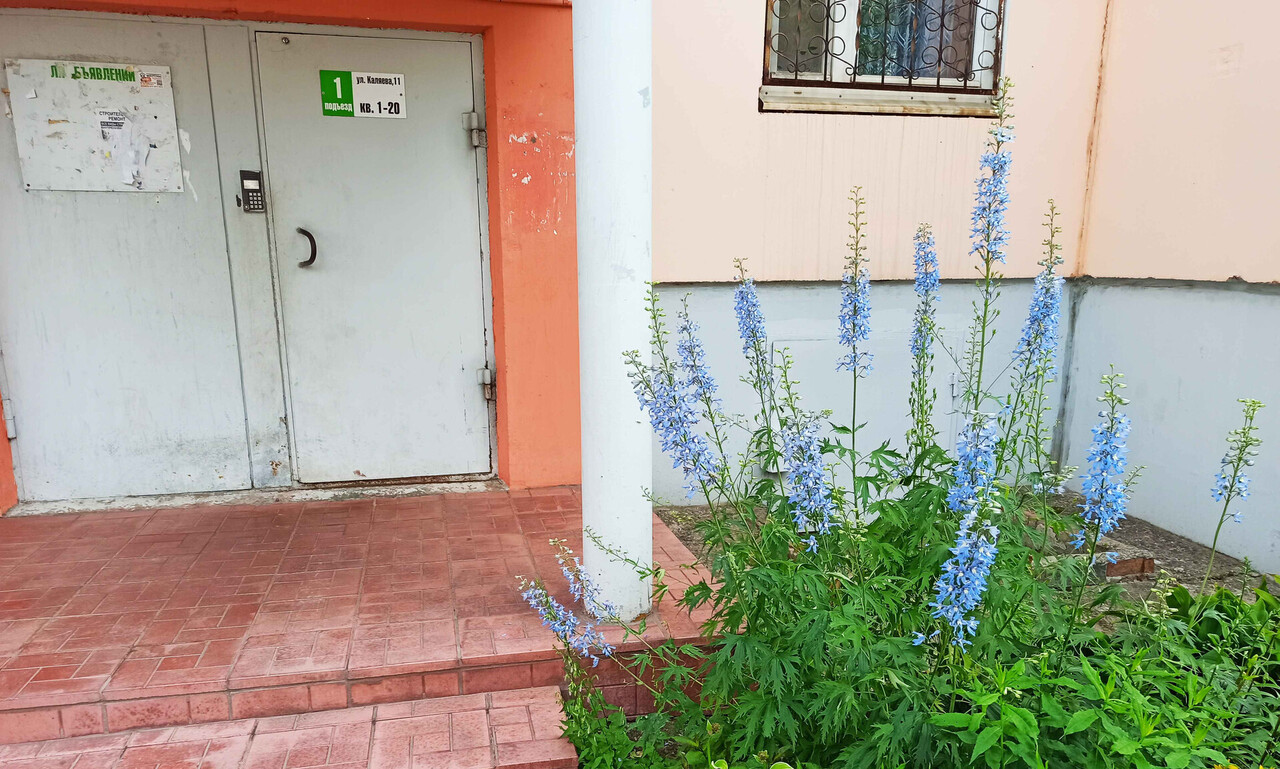 квартира г Пермь Нижняя Курья ул Каляева 11 фото 24