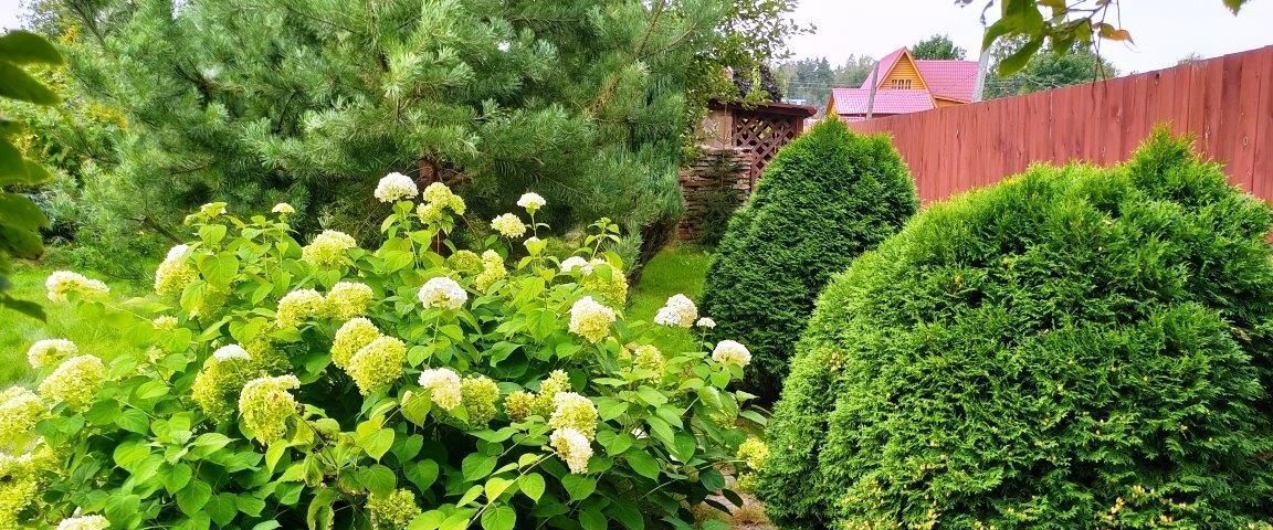 дом г Черноголовка д Старки 19А фото 9