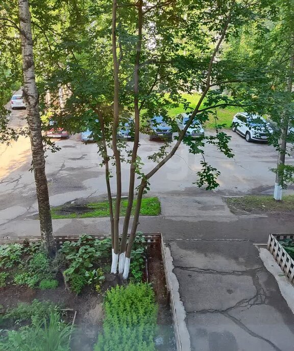 квартира г Сыктывкар ул Карла Маркса 164 фото 16