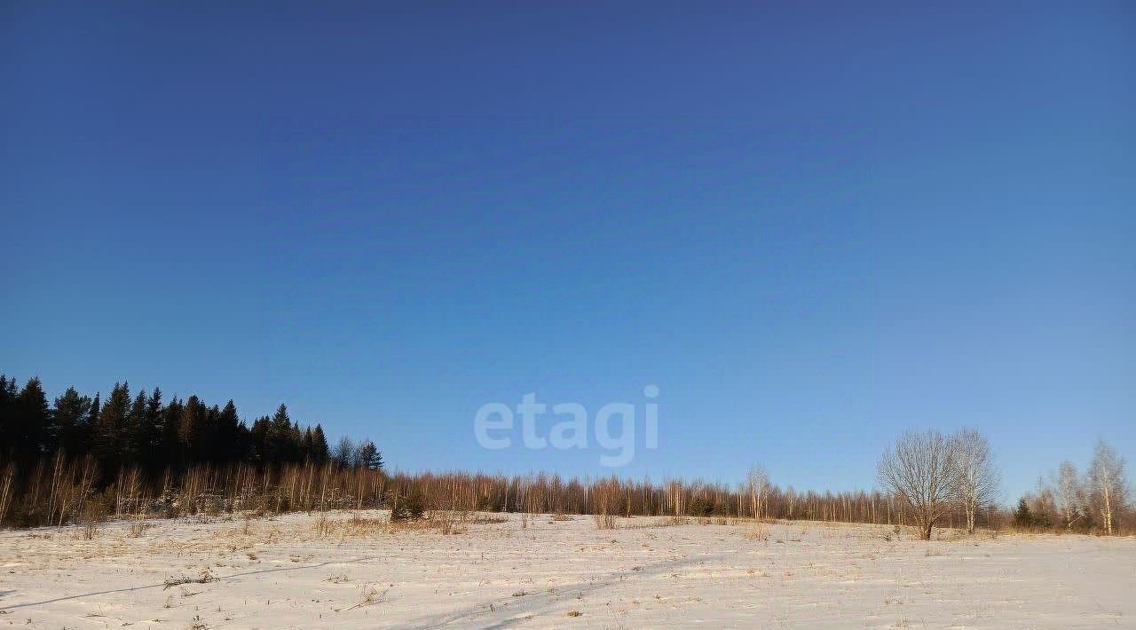 земля г Краснокамск д Мошни фото 4