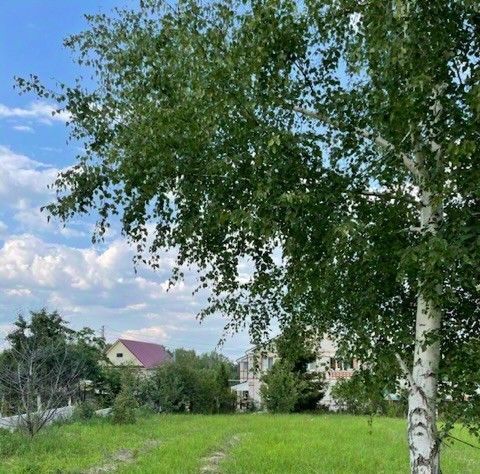 дом г Нижний Новгород ул Брусничная 57 с. Безводное фото 8