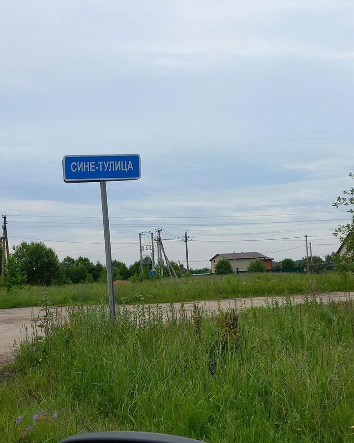 земля г Тула р-н Пролетарский Ревякино, д. Сине-Тулица фото 1