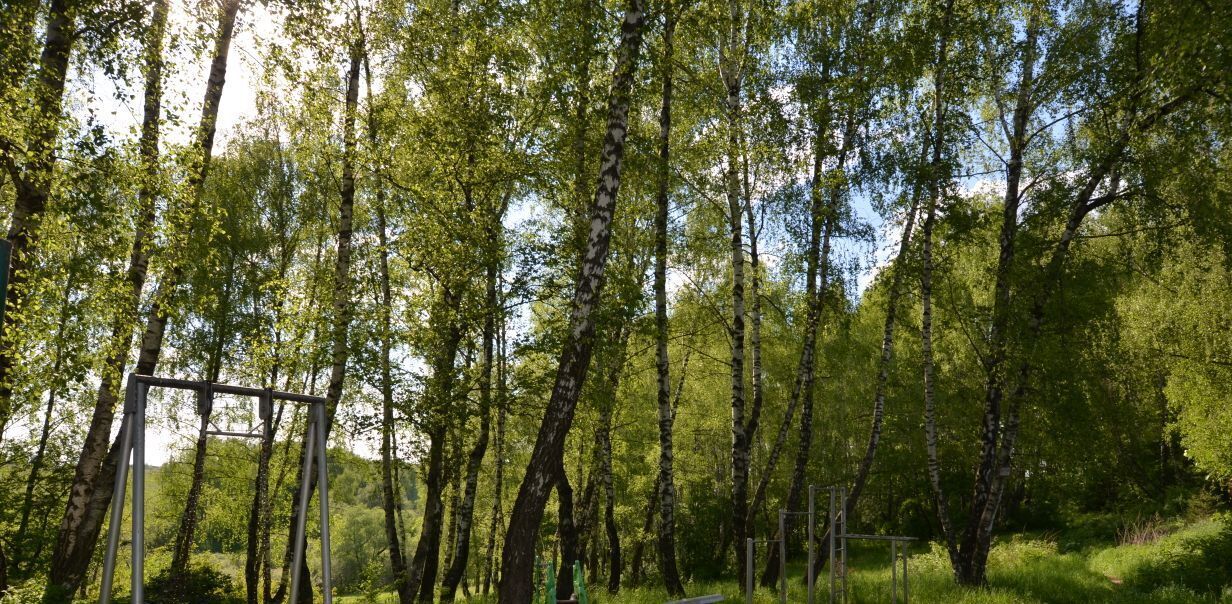 дом г Подольск Быково СНТ, Щербинка, 32 вл 7 фото 25