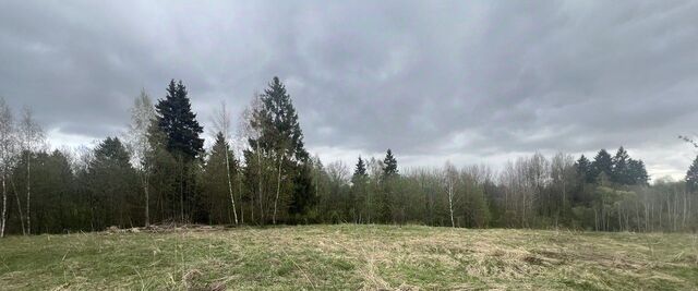 городской округ Истра нп Ядроминское п Хуторки фото