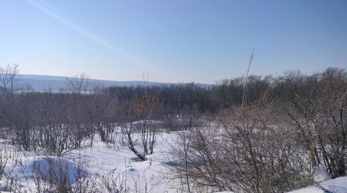офис г Вольск фото 2