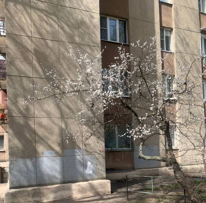 комната г Воронеж р-н Советский ул Южно-Моравская 35 фото 3