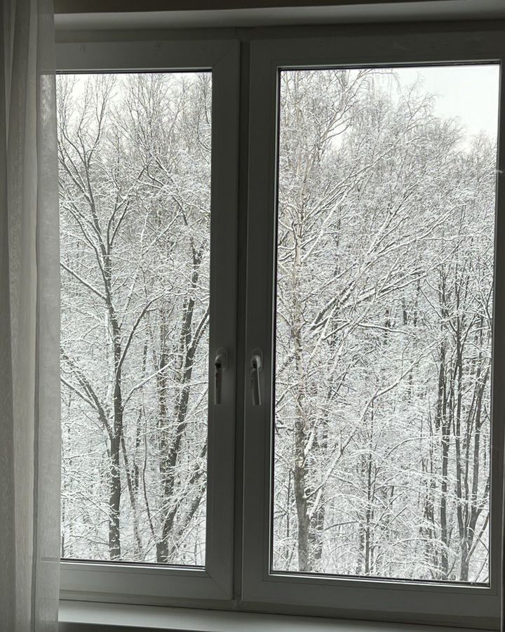квартира г Красногорск ул Липовой Рощи 4к/3 Москва, Строгино фото 20