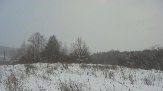 городской округ Дмитровский д Елизаветино фото