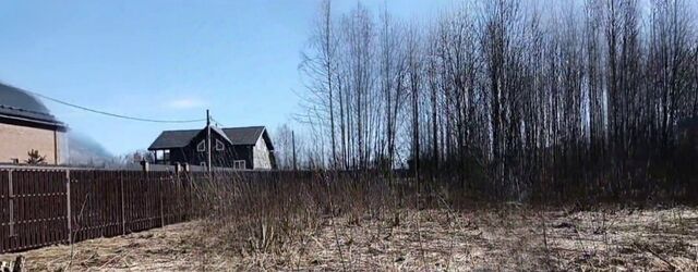 городской округ Дмитровский д Сазонки фото