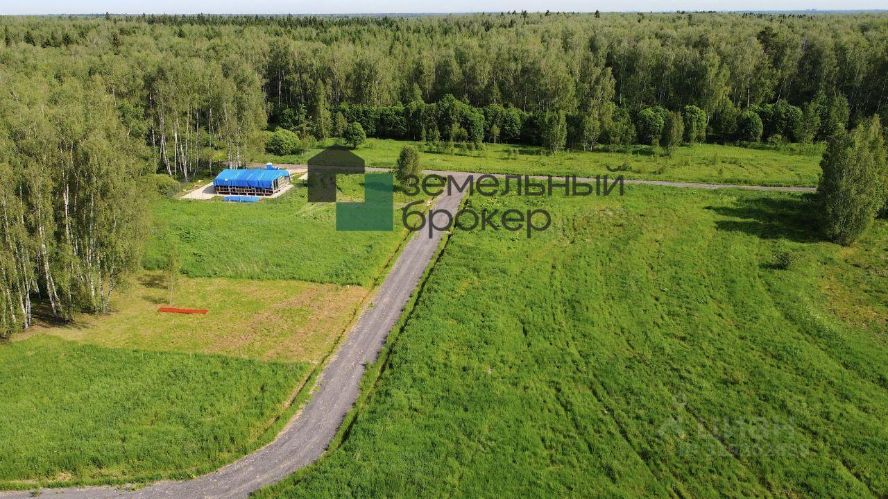земля г Домодедово снт Лесная даль 198, городской округ Чехов фото 14