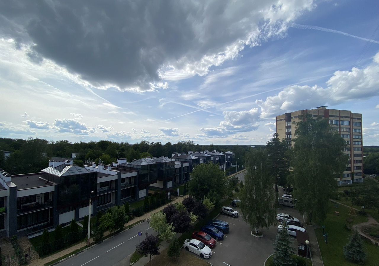 квартира г Дубна ул Мичурина 29 фото 24