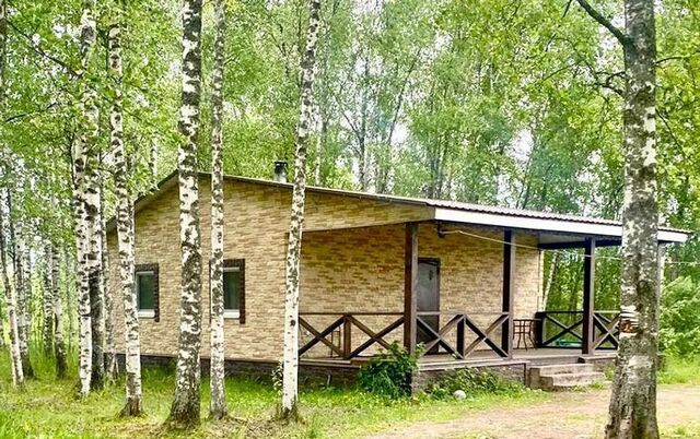 д Нижние Котицы ул Березовая 1 фото