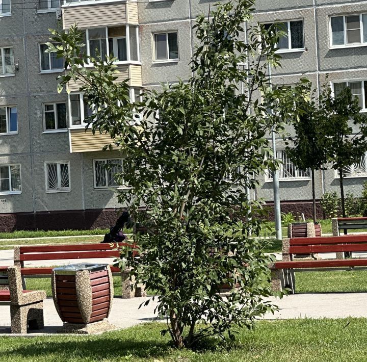 комната г Тула р-н Центральный ул Кауля 12 фото 17
