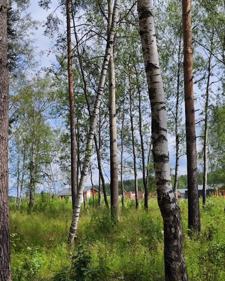земля городской округ Богородский г Ногинск 37 км, д. Пешково, Горьковское шоссе фото 5