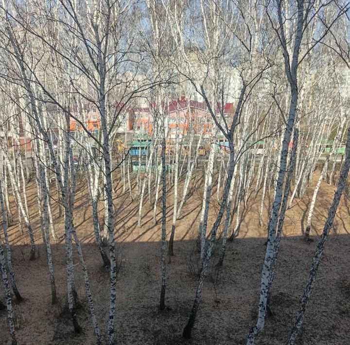 квартира г Омск р-н Кировский ул Ватутина 22а фото 5