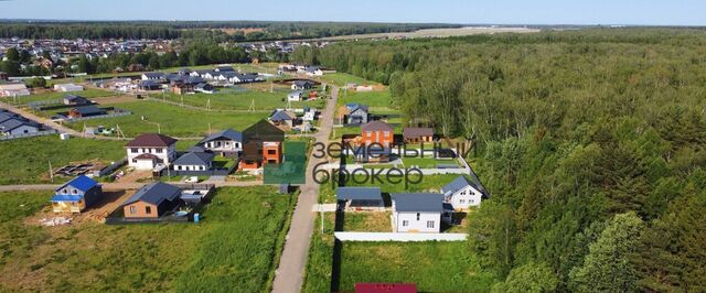 Ромашковая улица фото