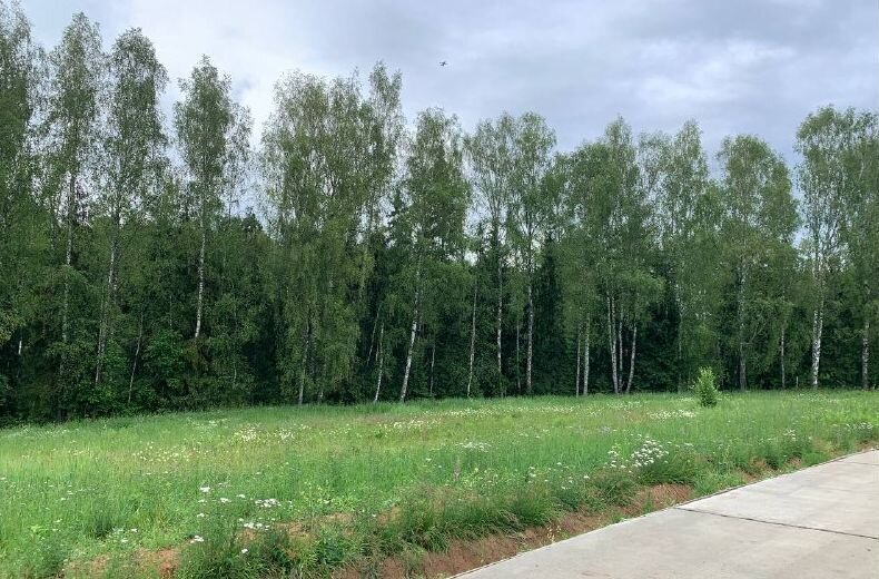 земля г Долгопрудный ш Московское 55 5 км, Дмитровское шоссе фото 6