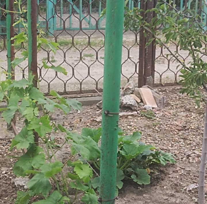 дом р-н Кавказский г Кропоткин тер Родник садоводческое товарищество ул Мичурина 7я линия фото 5