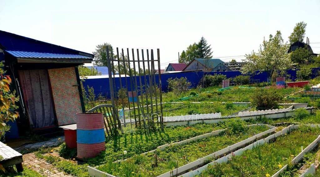 земля г Южно-Сахалинск снт Овощевод ул Малиновая 222 фото 4