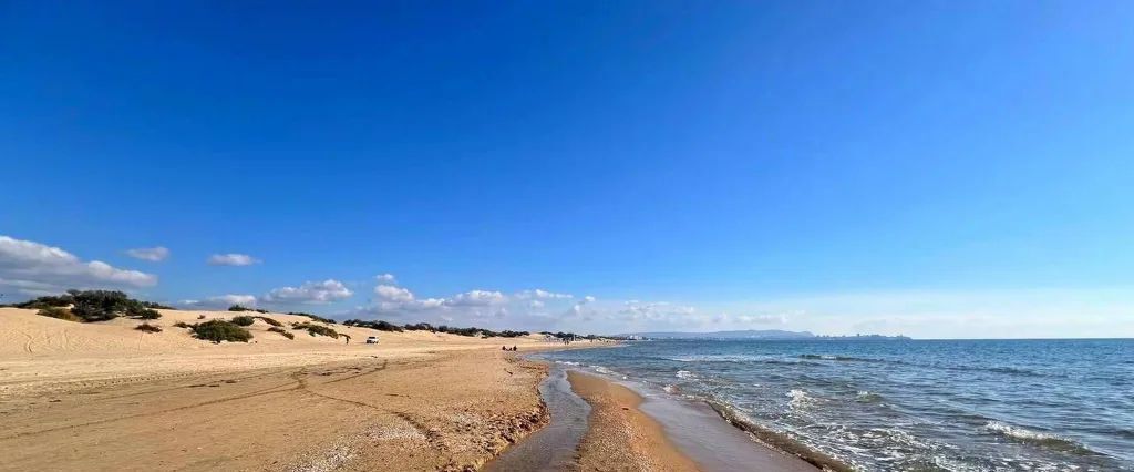 комната р-н Анапский г Анапа пр-кт Пионерский 259ф фото 17