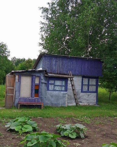 снт Черемшанка Новоалтайск фото