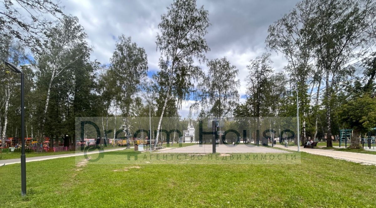 квартира г Пушкино ул 1-я Серебрянская 14 Центральный фото 38