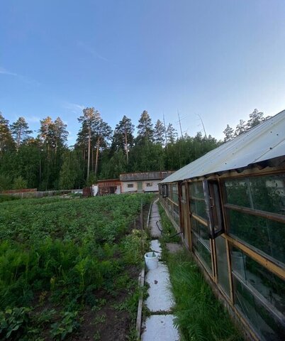 п Сосновый Бор жилой район Энергетик, Видная улица, 16 фото