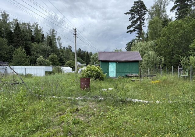 27 км, территория СНТ Октябрьский, Фрязино, Фряновское шоссе фото