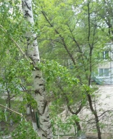 квартира Безымянка ул Фадеева 56 фото