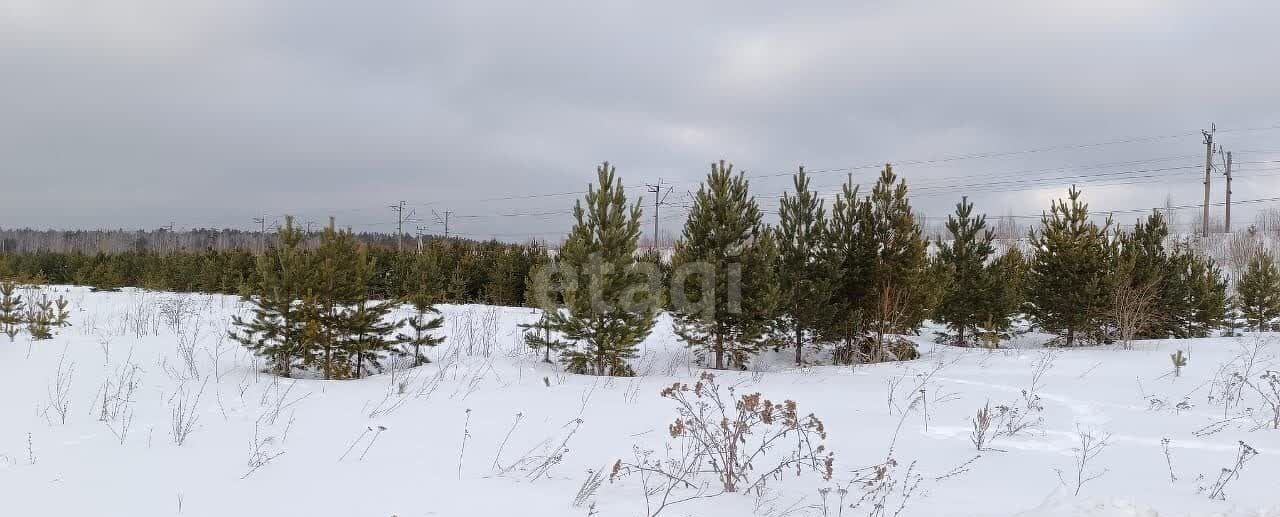 земля г Полевской с Курганово мкр-н Романово, Екатеринбург фото 2