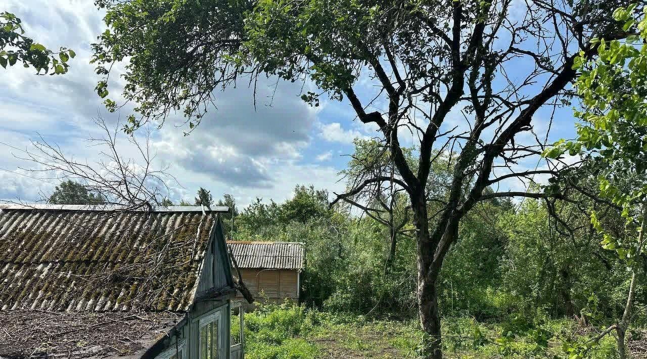 земля г Брянск р-н Советский Природа садоводческое объединение фото 2