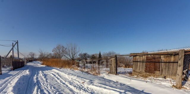 снт Черемушки фото