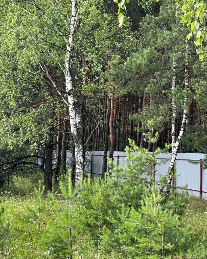 земля городской округ Богородский г Старая Купавна 19 км, КП Бисерово-Озёрное, Горьковское шоссе фото 7
