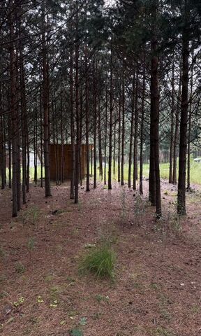 земля ДПК Урожай, 129 фото