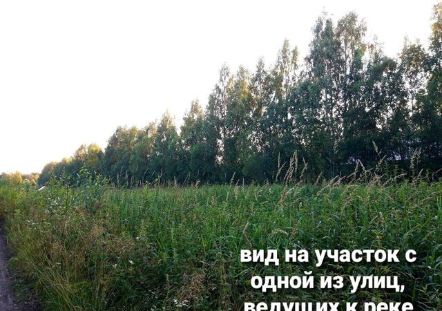 Кончезерское сельское поселение, ДНП Сунские Пороги, Кондопога фото