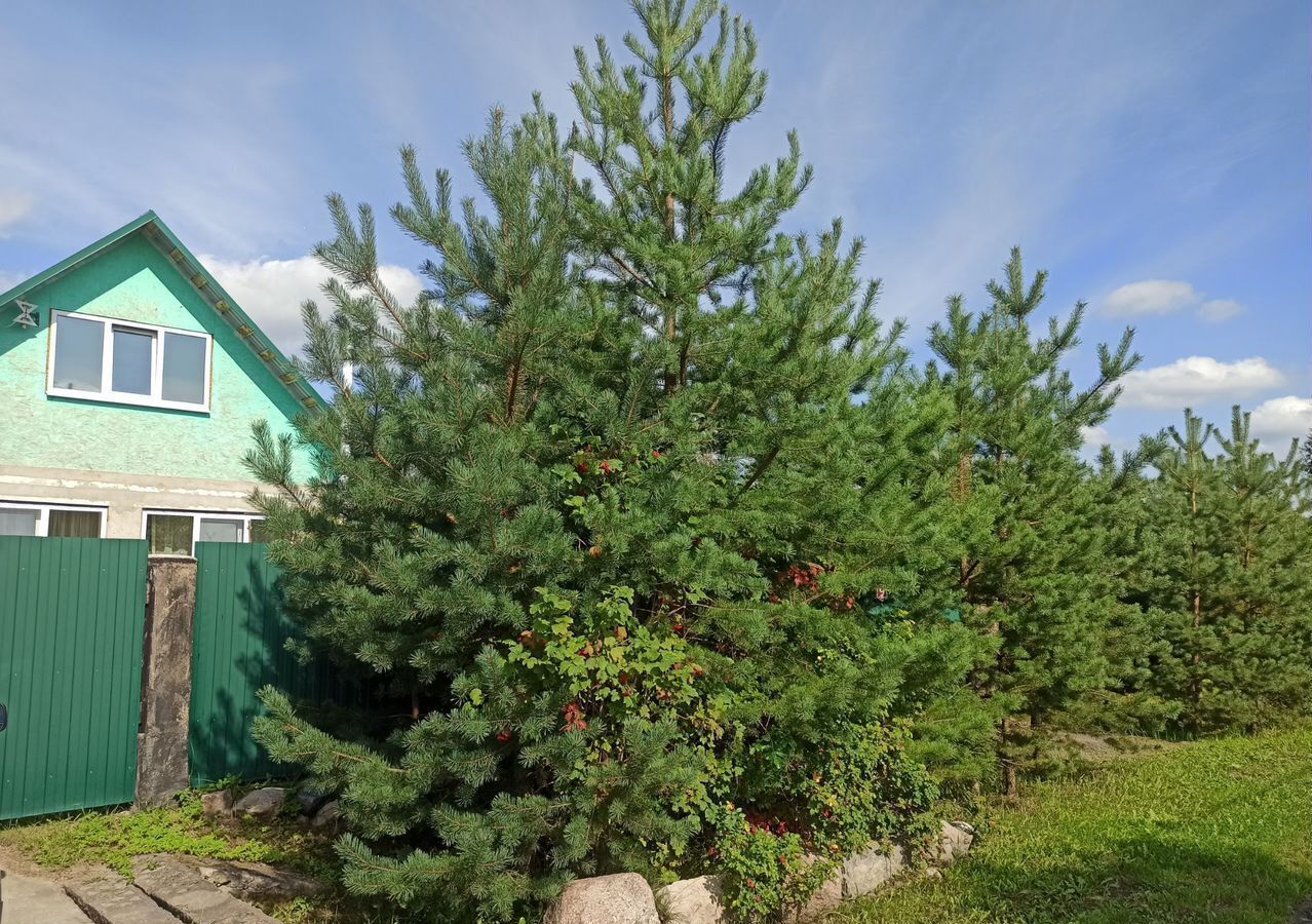 дом р-н Дновский г Дно пер Огородный 9 фото 19