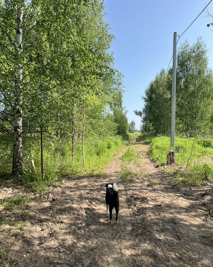 земля р-н Городецкий г Городец д. Вашуриха фото 5