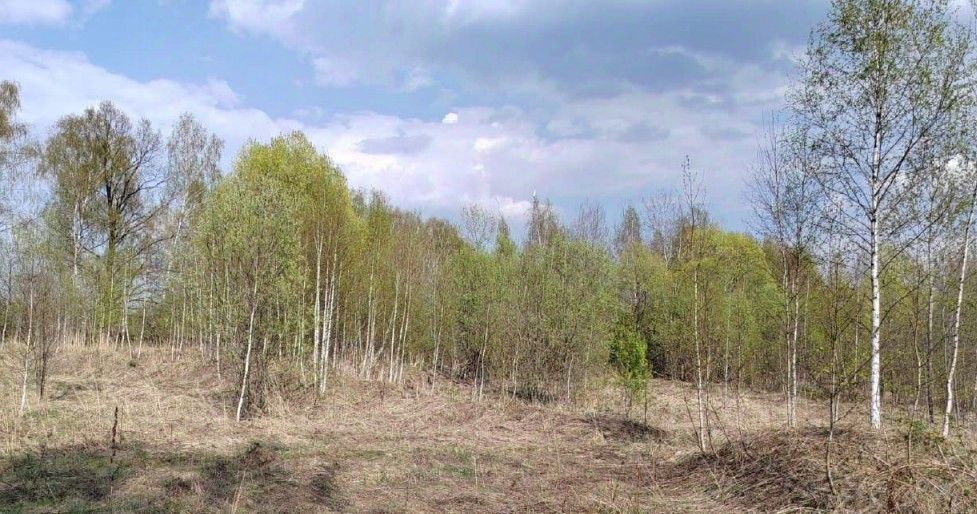офис г Чехов фото 1