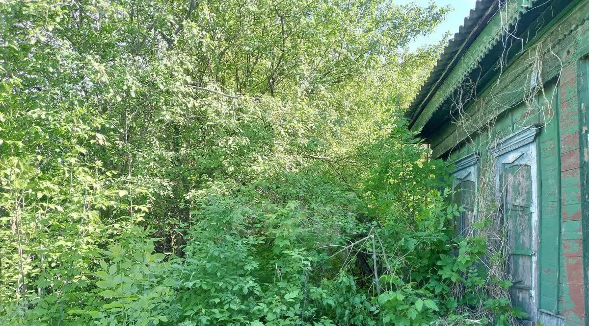 земля г Балашов ул Тараканова 16 фото 1