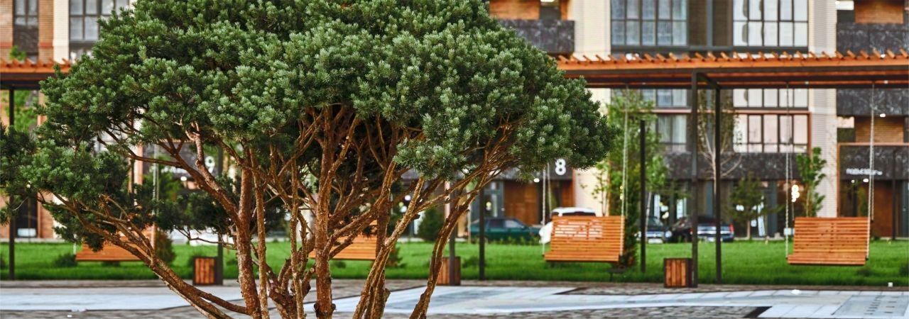 квартира г Краснодар р-н Прикубанский ЖК Образцово фото 11