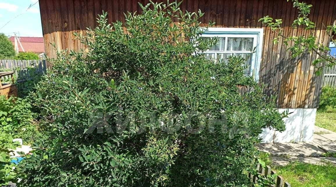 дом г Новосибирск снт Радуга Площадь Маркса, 49 фото 17