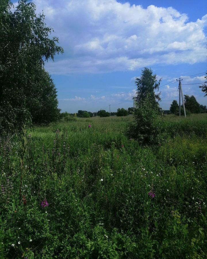 земля г Бердск Бердское шоссе, мкр-н Раздольный фото 4