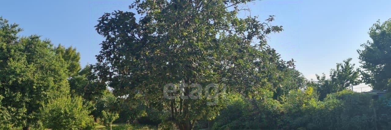 земля р-н Ейский г Ейск п Широчанка снт Садовод фото 5