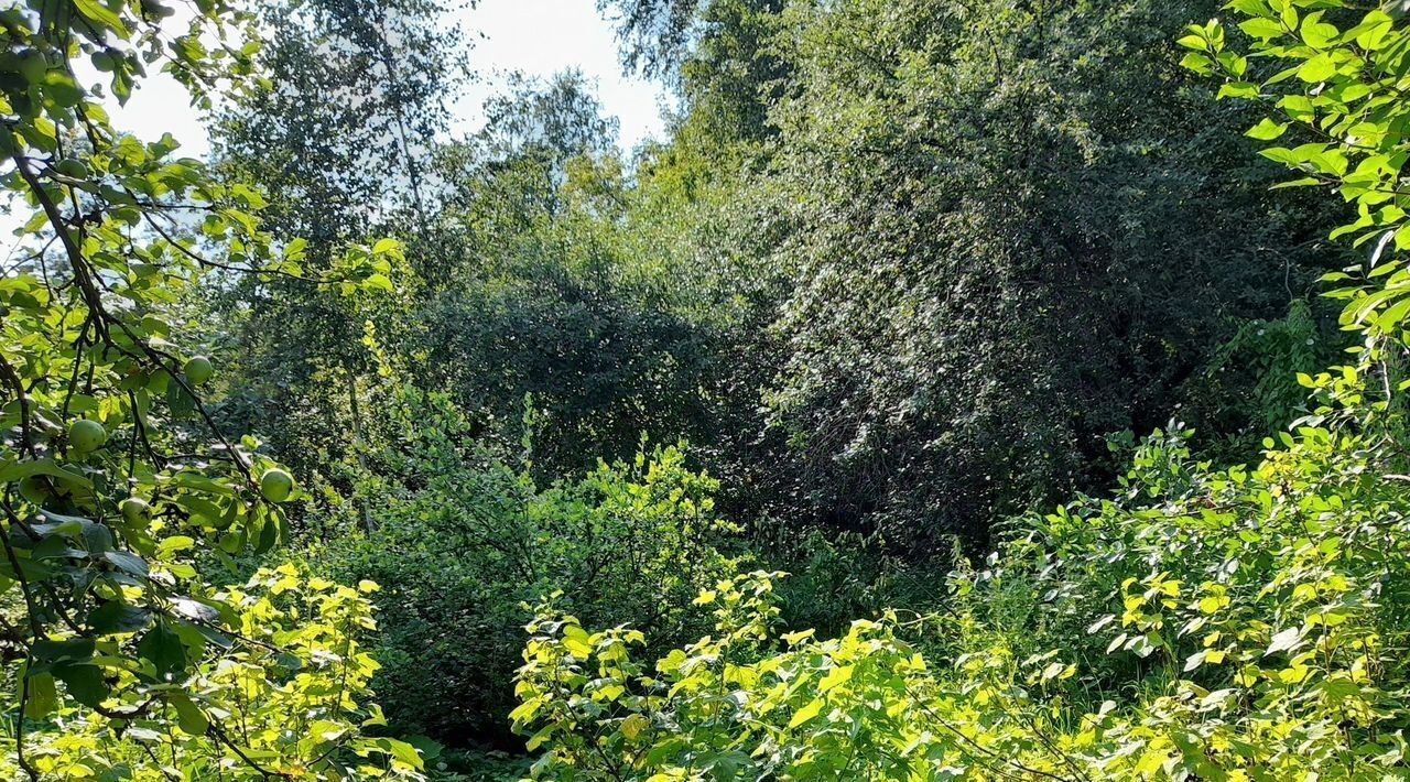 дом г Балашиха д Черное ш Носовихинское 13 фото 8