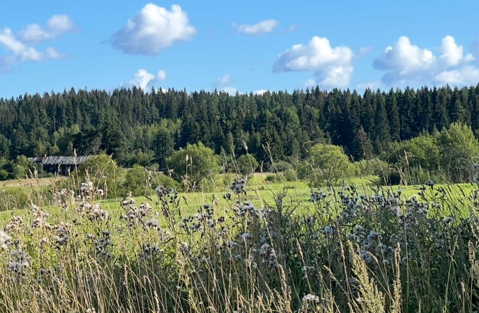 земля г Сортавала Сортавальский муниципальный округ фото 7
