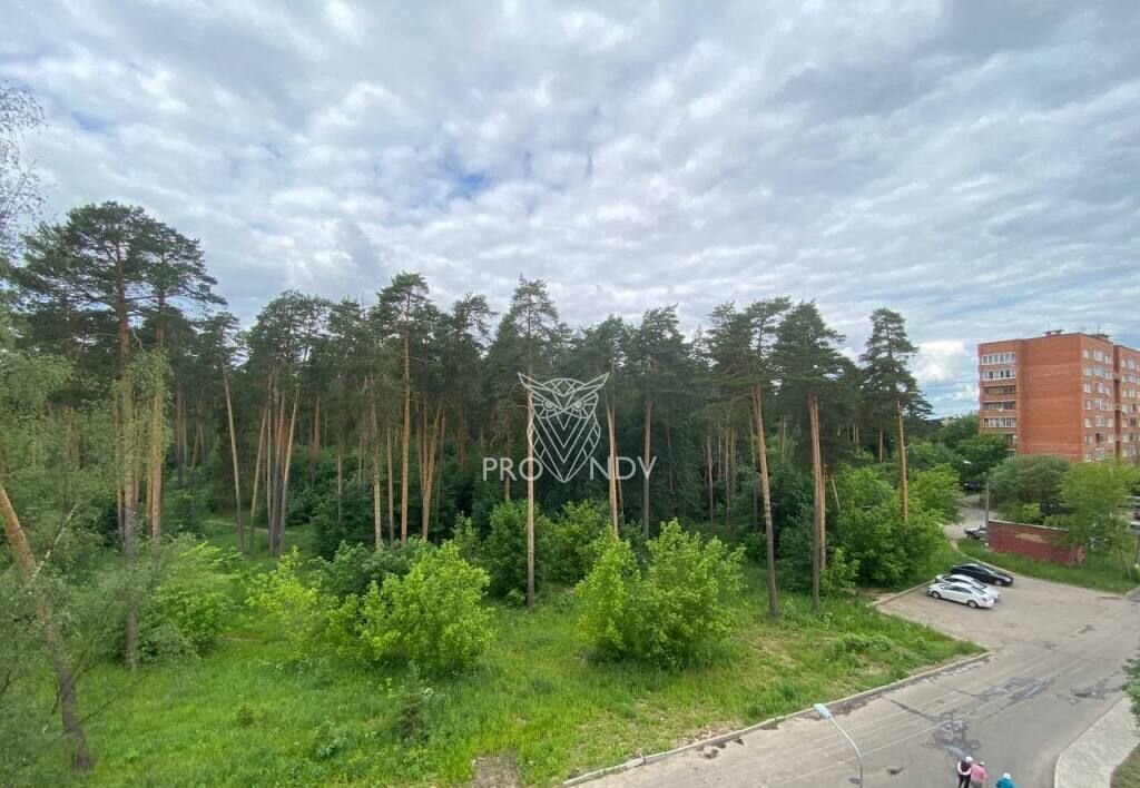 квартира городской округ Пушкинский г Красноармейск ул Новая Жизнь 8 фото 10