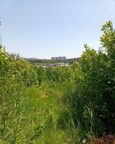 р-н Октябрьский садовое товарищество Кавказ фото