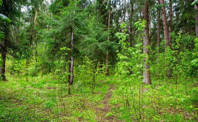 20 км, коттеджный пос. Ренессанс Парк, Красногорск, Минское шоссе фото