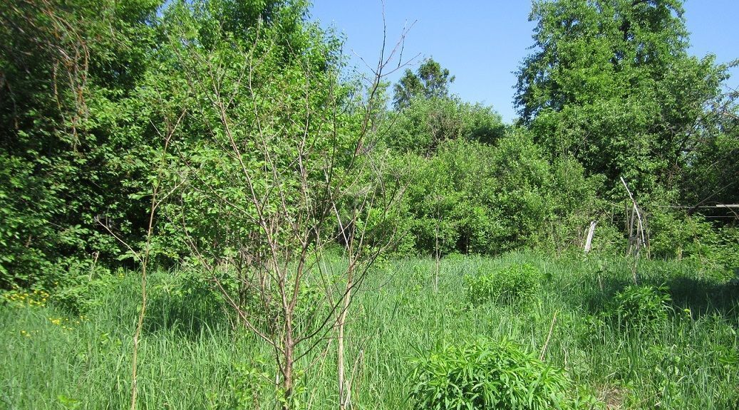 дом р-н Алексинский г Алексин снт Родничок фото 4