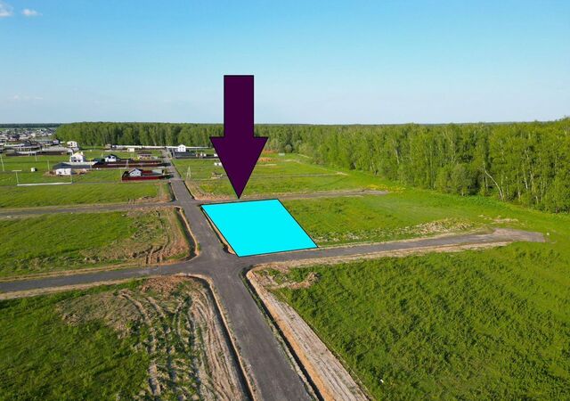 43 км, Полевая ул, г. о. Домодедово, Новокаширское шоссе фото